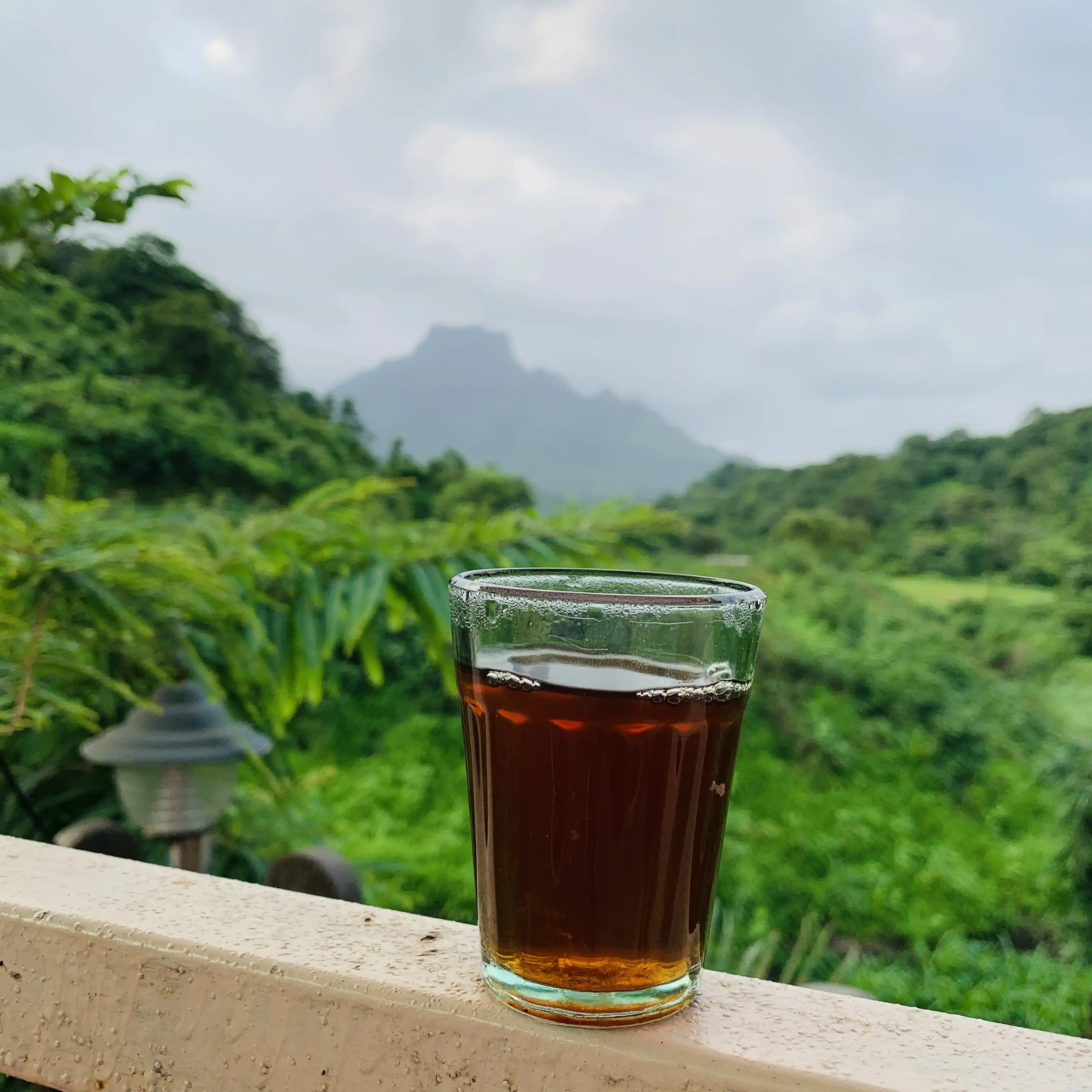 Chai View From Orchidoaks