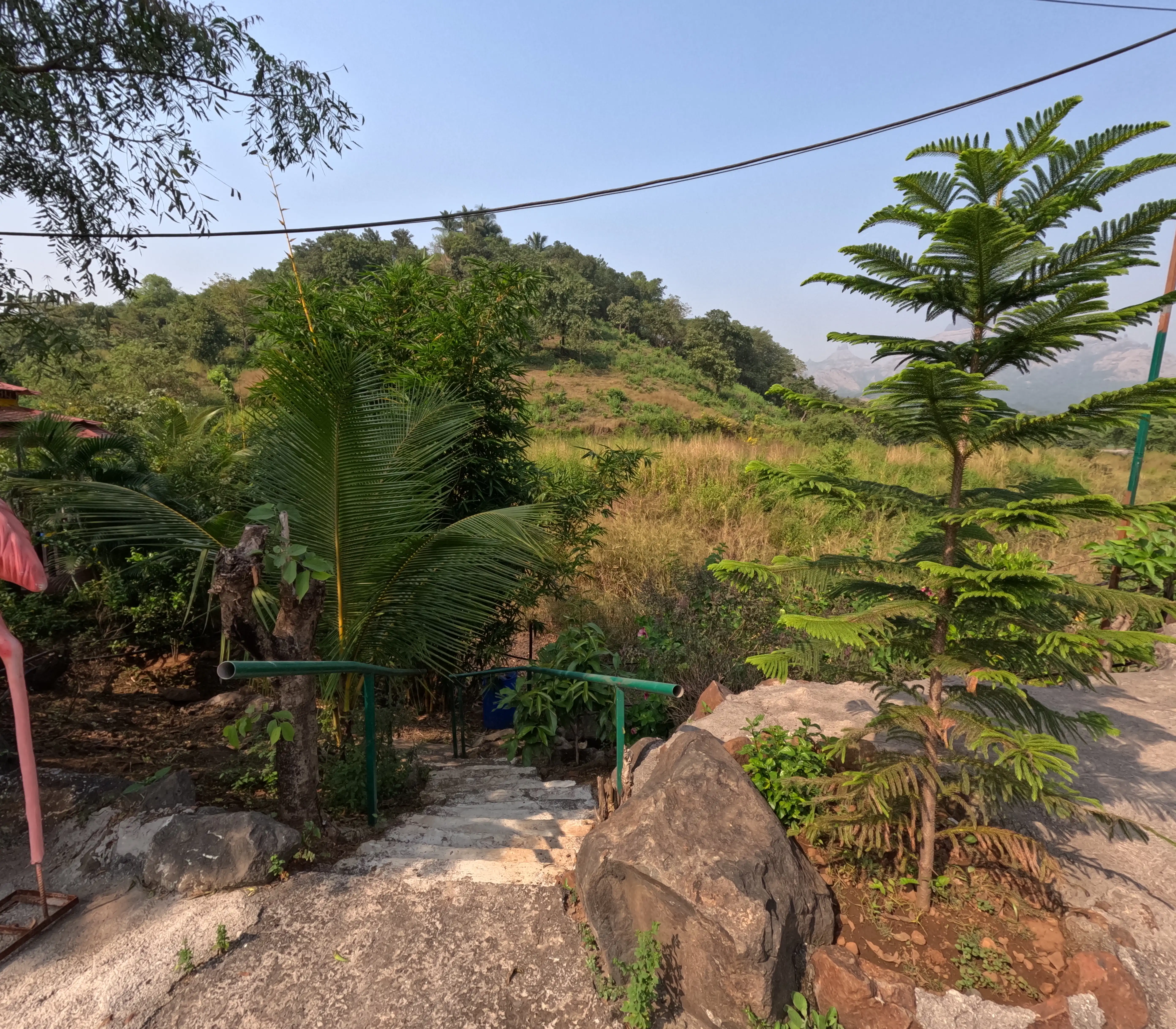 Nature View From Orchidoaks