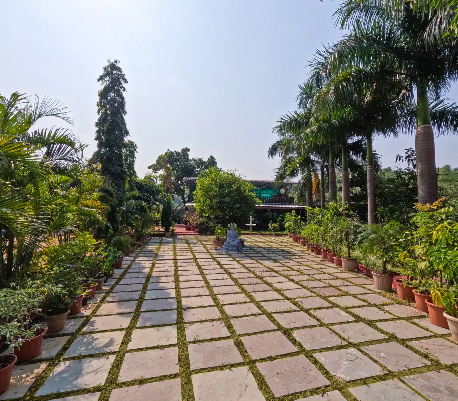 Resort Surroundings Pavement Area View